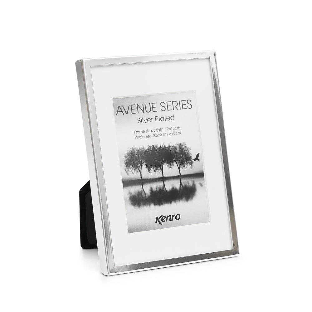 Avenue Aluminium Frame in Silver