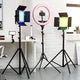 Kenro 2m Lighting Stand